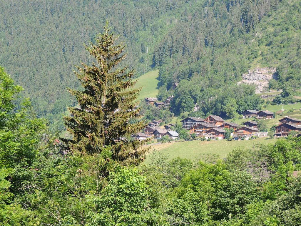 La Duche 101 Apartment Le Grand-Bornand Phòng bức ảnh