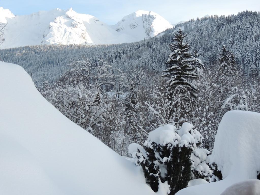 La Duche 101 Apartment Le Grand-Bornand Phòng bức ảnh